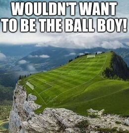 Ball boy memes