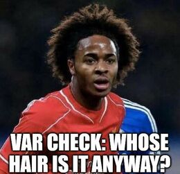 Whose hair memes