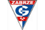 1436517135 gornik