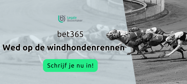 online inzetten op windhondenrennen