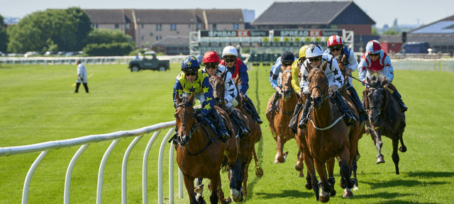 weddenschappen plaatsen op paarden met een bonus